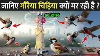 गौरैया को भारत से क्यों खत्म कर दिया गया ? | Why Sparrows Are Disappearing | House Sparrow Bird