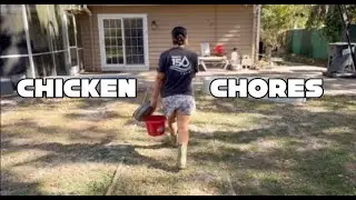 Lets Go Do Some Chicken Chores (Relaxing Edition) Then Have A Serious Chat