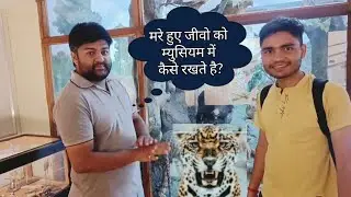 museam me  kaise rhte hai animals| chhattshgarh @journalistamit123 #cg #chhattisgarh#journalistAmit