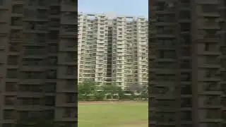 Tough Pitch for batting!