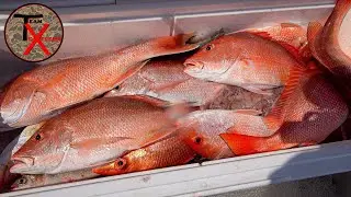 Louisiana Red Snapper Opening Weekend 2023 | Venice Offshore Fishing