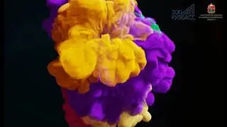 Территория-Fest / Пролог Центральный Экран