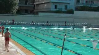 telis50mbutterfly