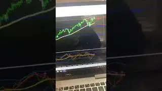 Are You Looking to Join Tradera Forex Trading? Make Sure They Teach You How to Trade Step by Step