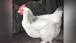 Drawing chicken/ Huhn zeichnen/ speedpaint/ digital/ Procreate/ iPad/13 j&auml;hrige malt