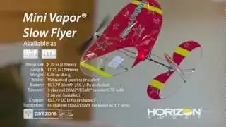 Mini Vapor RTF & BNF by ParkZone
