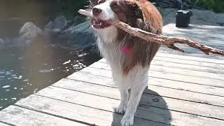 Cottage Dock - Inflating Your Cottage Dock