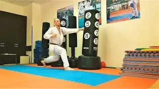 Скоростно-силовая тренировка рук и ног/ Speed-strength training the legs and arms.  KARATE CLUB SKIF