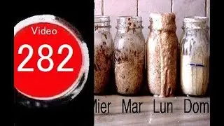 Levadura de Masa Madre(a la vieja Usanza) Paso a Paso!