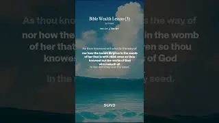 BIBLE WEALTH 3 #music #wealth #bible