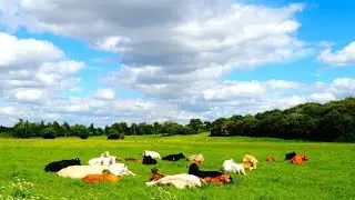 Stratford-upon- Avon Walk
