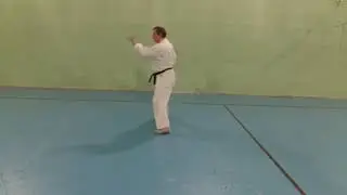 Naihanchi shodan no kata (Daiaikan. Shuri-te.) side view