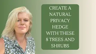 8 Trees and Shrubs for Natural Privacy