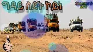 New Eritrean music gday sdet koyne 2019