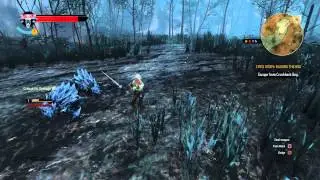 The Witcher 3 - Ciri's Story: Fleeing the Bog: Escape Crookback Bog Ciri Combat, Avoid The Wild Hunt