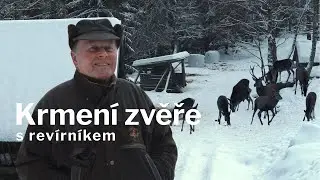 Jak fungují přezimovací obůrky?