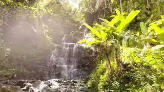 Bali's hidden waterfall 2023 😍