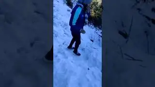 WATCH SNOW FALL IN MAYODIA -The Best Shorts of the Season!