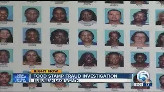 Food stamp fraud investigation