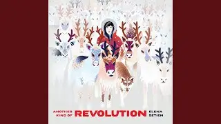 Another Kind Of Revolution