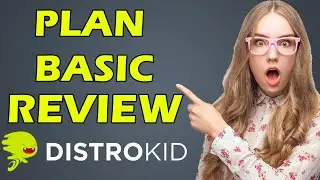 What options do I have with DistroKid's basic plan?
