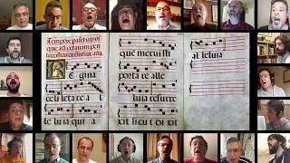 Regina Caeli - Schola Antiqua