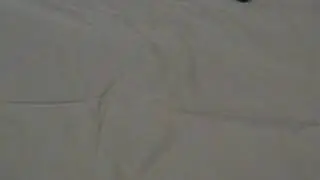 monica Freeze Frame animation