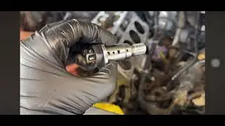 Cam phaser bolt install Gen 5 LT L86 L83 GM Yukon Tahoe Suburban Silverado Sierra Escalade