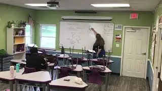 Physics: Forces in equilibrium.