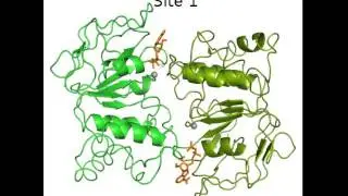 Opening of the MalK dimer interface upon ATP hydrolysis