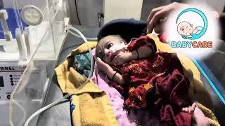 Baby Care: Newborn in Vertical Oxygen Warmer &mdash; Gentle Heat & First Moments