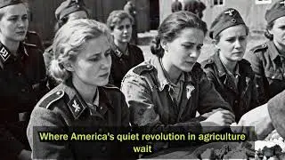 'That’s Animal Food!' German Women POWs Laughed at American Corn | Until One Bite Changed Everythin