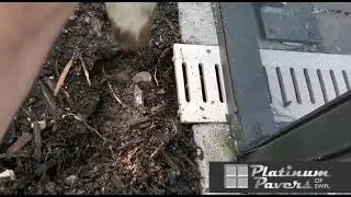 Swimming pool deck drainage solutions