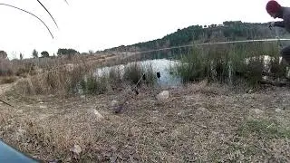 Optonic   run