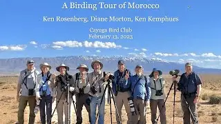 A Birding Tour of Morocco - Cayuga Bird Club 2023-02