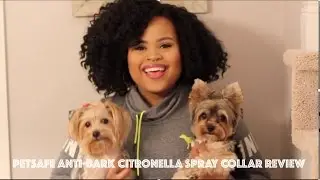 PETSAFE ANTI-BARK CITRONELLA SPRAY COLLAR REVIEW