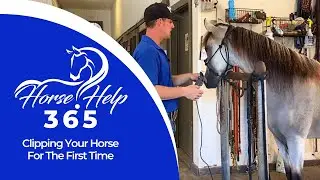 Clipping Your Horse For The First Time | Horse Help - Michael Gascon
