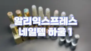 알리익스프레스 네일템 하울 1 / 글리터젤&자석젤 / 네일 추천템
