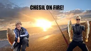 Chesil On Fire! 🔥🔥🔥The Beach Comes Alive! Sea Fishing Chesil Beach September 2024