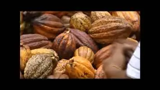 From Tree To Bar - Fortunato No. 4 Chocolate