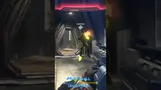 Kilimanjaro Multikill with Bulldog