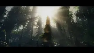 Forest - CRYENGINE