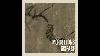 Morgellons Disease &ndash; Medical Mystery, Contested Illness, and the Human Cost of Disbelief