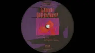 DJ Normal 4 - Enjoi (BS09)