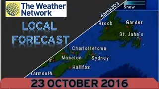 The Weather Network Local Forecast - 23 October 2016
