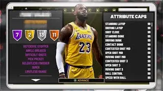 LEBRON JAMES 95 OVERALL REBIRTH BUILD - ALL HOF BADGES