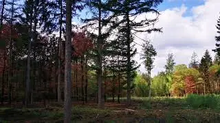 Renderklippen - Epe