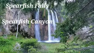 Spearfish Falls Trail ~ Spearfish Canyon