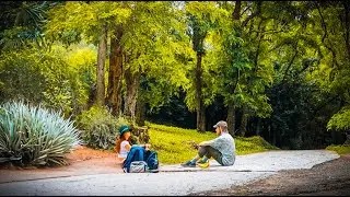 Все хорошее когда-нибудь заканчивается.