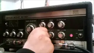 Roland RE 201 Space Echo - dubmassive.org